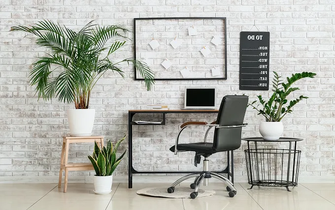 登録スタッフのパーソナルデータグラフ