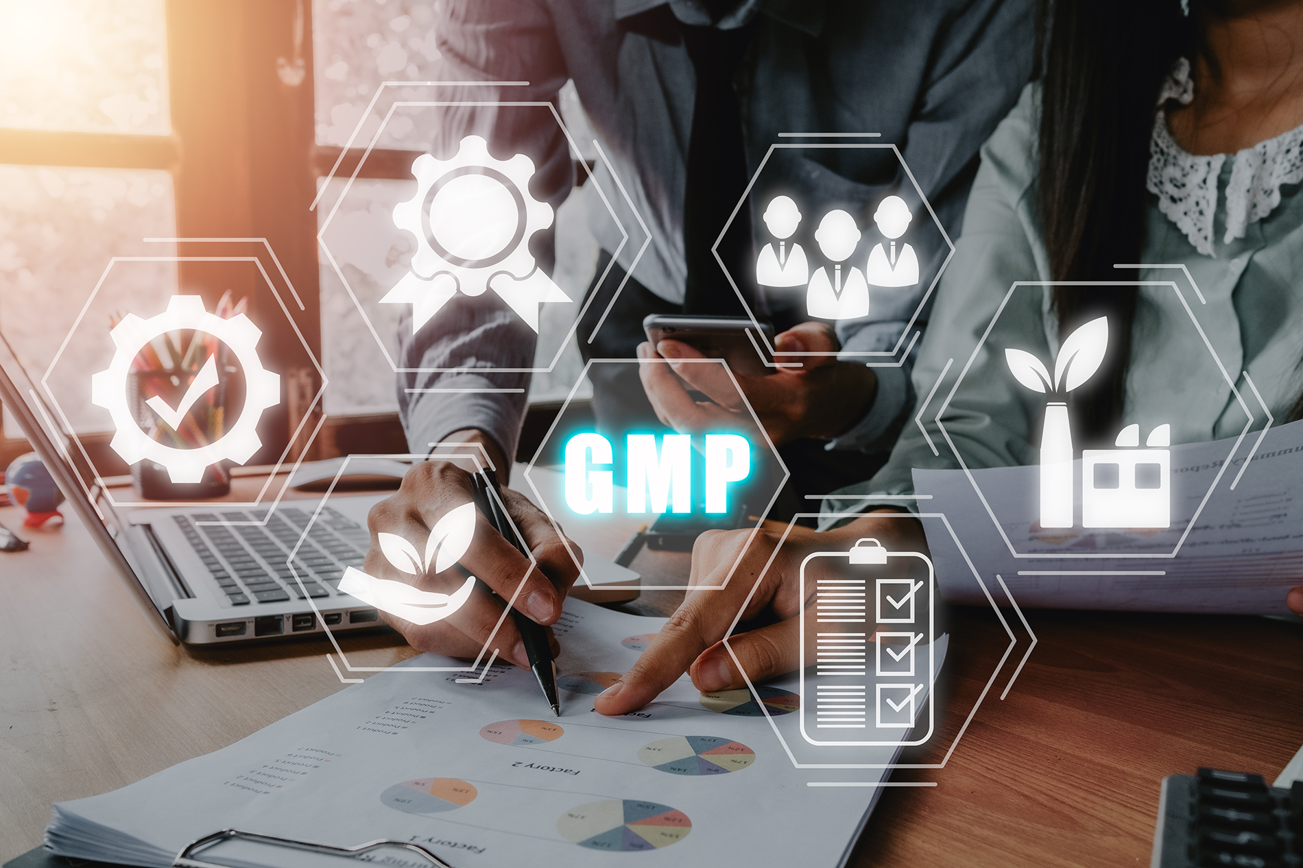 海外からのGxP監査におけるオンライン通訳