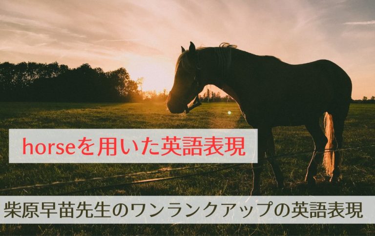第199回「horseを用いた英語表現」