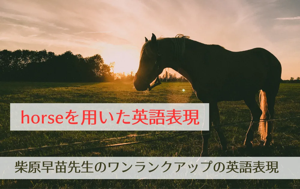 「horseを用いた英語表現」柴原早苗先生のワンランクアップの英語表現